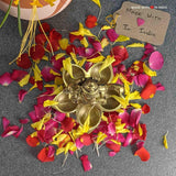 Ganesha Dancing Diya (Oil Lamp) - Ganesh Brass Statue - 5 inches - Made with Love in India