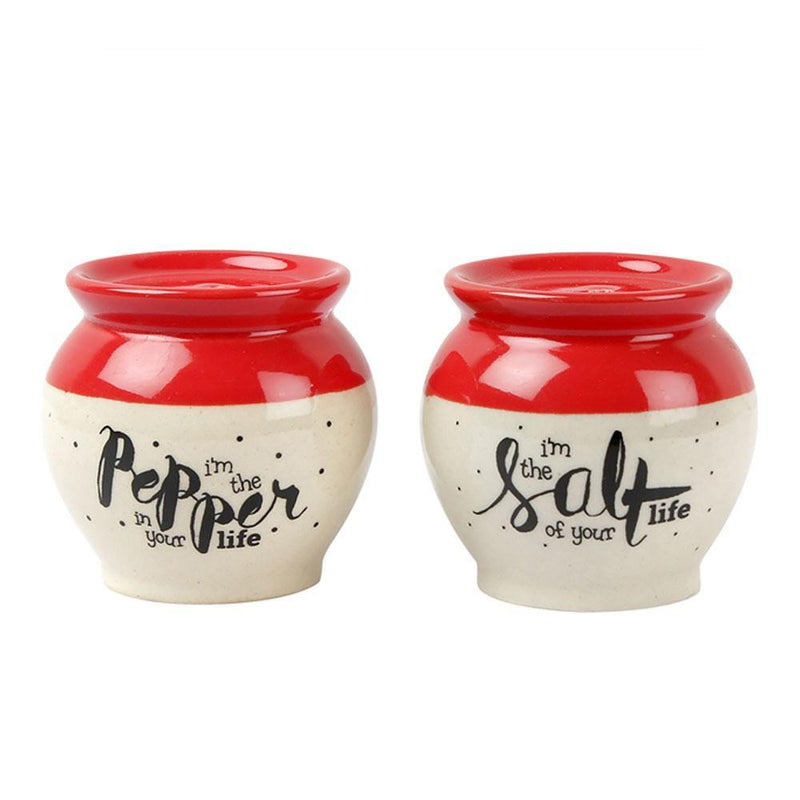 Matka Style Salt and Pepper Set - Made with Love in India