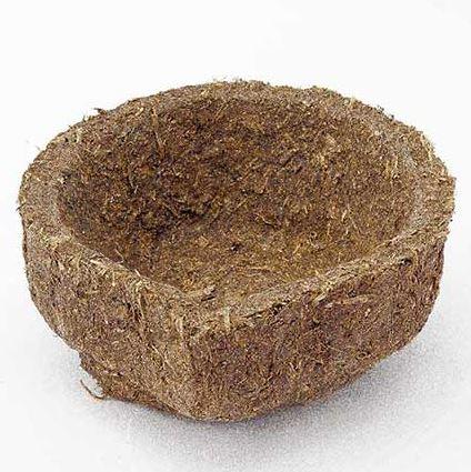 Panchgavya Diyas - Made with Love in India